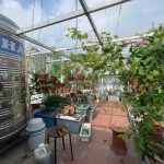  60m2 - 3