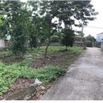  250m2 - 4