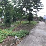  250m2 - 5