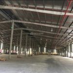  5000m2 - 1