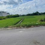  4029m2 - 6
