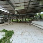  2000m2 - 1