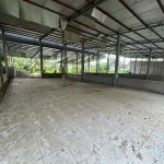  2000m2 - 6