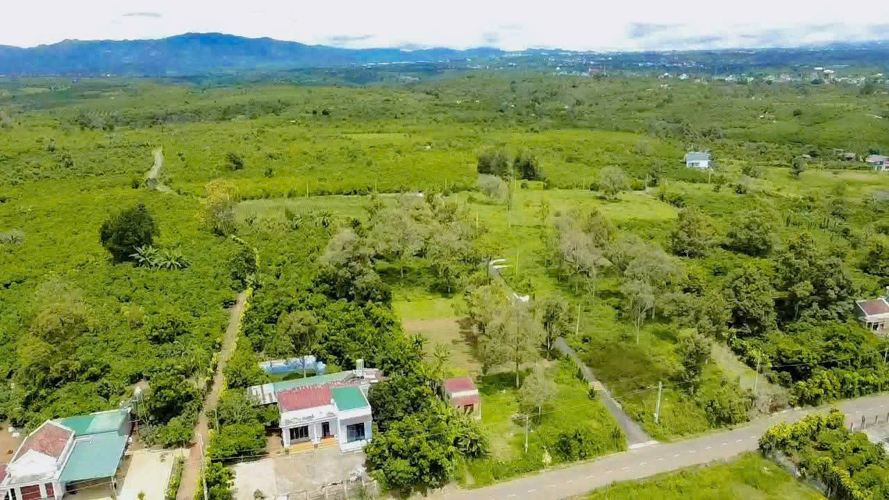 Lộc An- Bảo Lâm- Lâm Đồng dt 259m2 sẵn 118m2 cách trung tâm Bảo Lộc chỉ 6km cách khu nghỉ dưỡng home nổi tiếng Bảo lộc