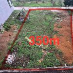  350m2 - 1