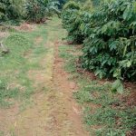  70000m2 - 5