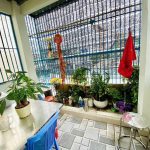  80m2 - 6