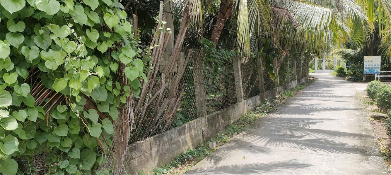 ĐẤT ĐẸP - GIÁ TỐT - Bán GẤP Lô Đất Tiềm Năng Tại Xã Long An, Châu Thành, Tiền Giang
