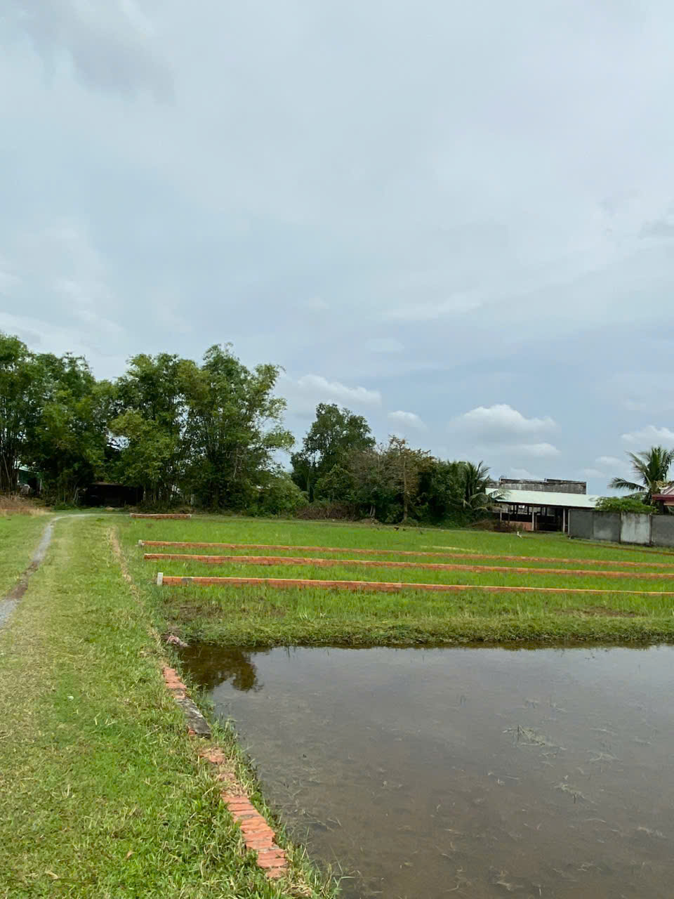 CHÍNH CHỦ BÁN LÔ ĐẤT 1000M2 GIÁ SIÊU TỐT TẠI BÀU SEN, ĐỨC HÒA, LONG AN
