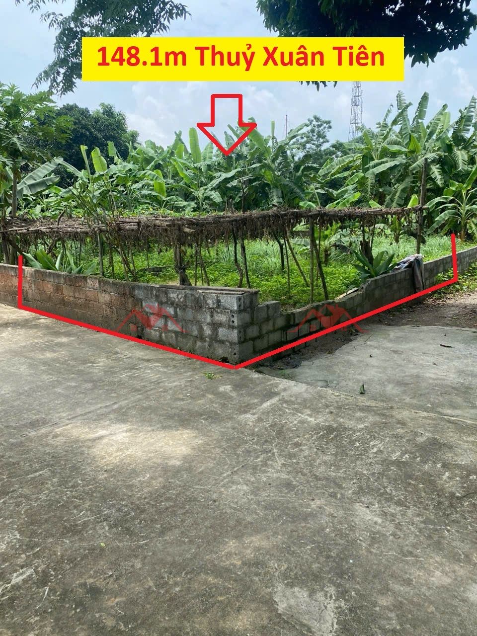 HÀNG FO BÁN LÔ GÓC 148,1M TẠI THỦY XUÂN TIÊN-CHƯƠNG MỸ-HÀ NỘI