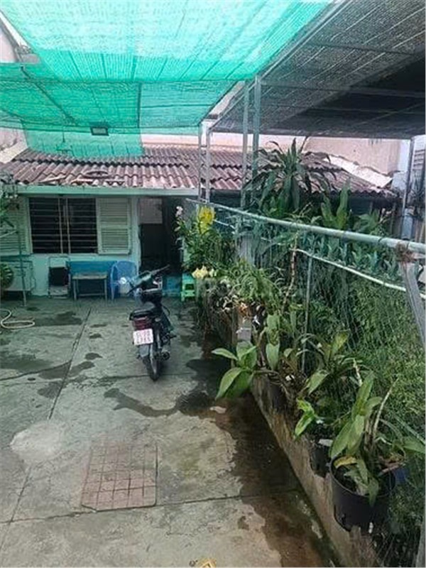  154m2