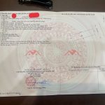  96m2 - 5