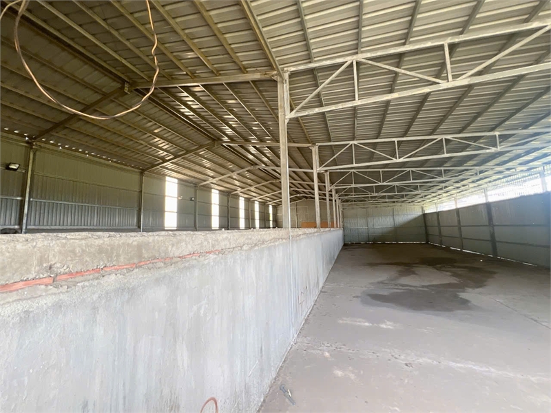 XT496 cho thuê Kho chứa hàng khung thép kiên cố, thích hợp chứa hàng, Sản xuất