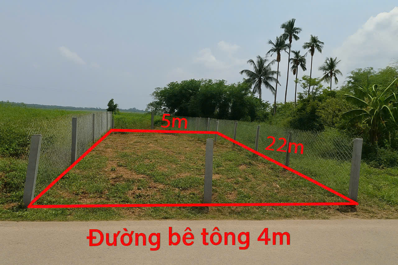 Chính chủ cần bán gấp đất thổ cư dt 110 m2, sẵn sổ tại Đường Quốc Lộ 1A, Xã Bình Trung, Huyện Thăng Bình, Quảng Nam