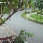  64m2 - 1