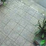  64m2 - 3