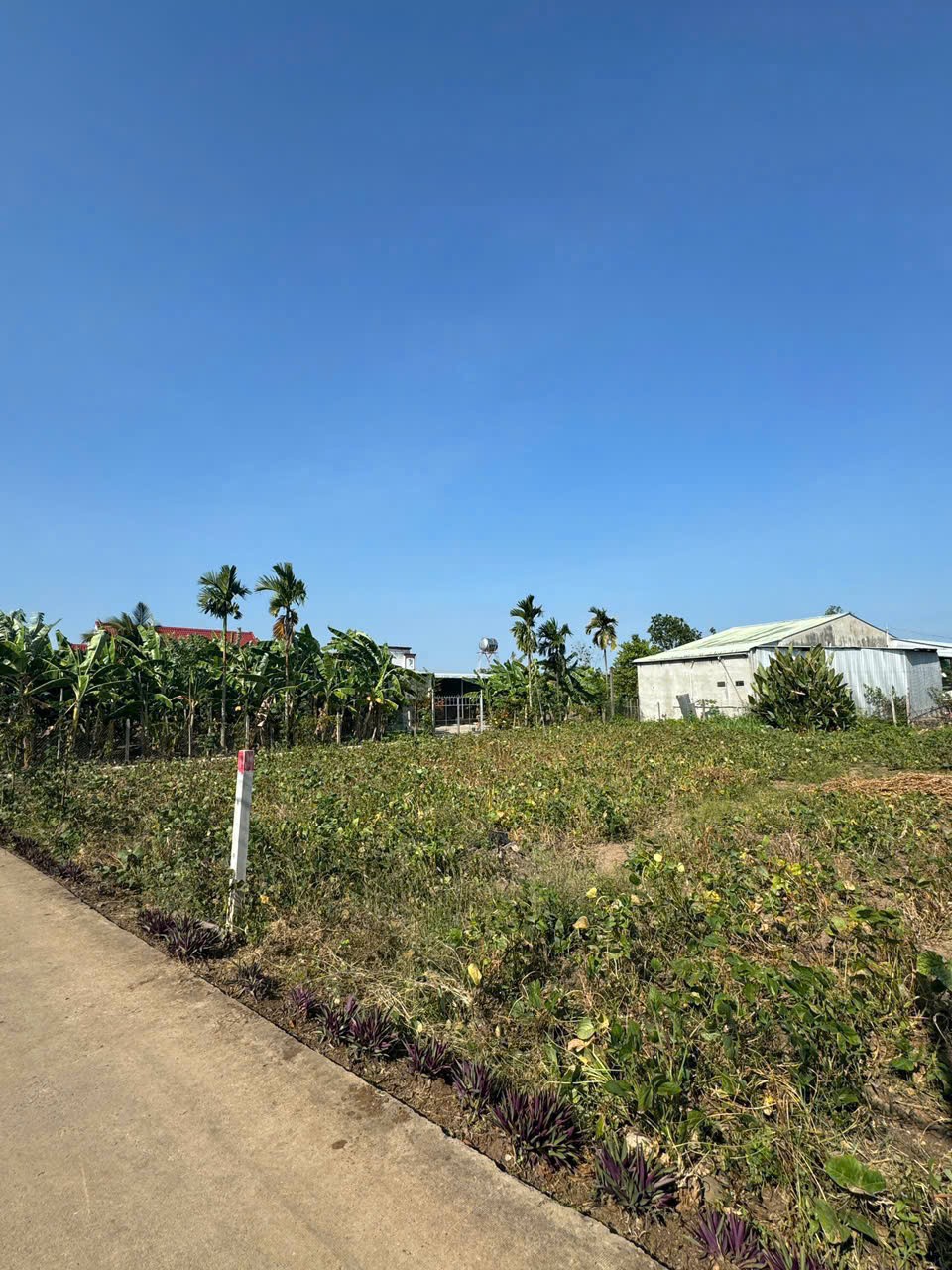 VỊ TRÍ ĐẸP – GIÁ TỐT - Chính Chủ Bán Lô Đất Tiềm Năng Tại Xuân Đông, Cẩm Mỹ, Đồng Nai