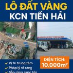  10000m2