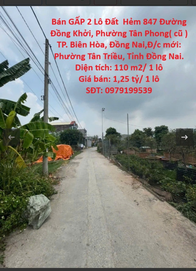 Chính Chủ Cần Bán GẤP 2 Lô Đất Hẻm 847 Đường Đồng Khởi, Phường Tân Phong( cũ ) TP. Biên Hòa, Đồng Nai