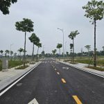  44000m2 - 1