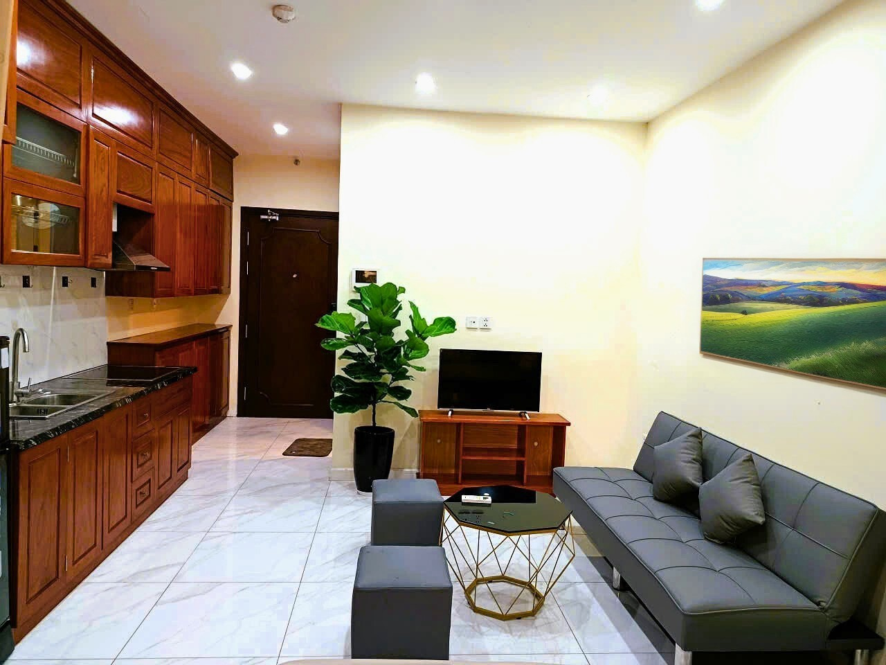 Căn Hộ cao cấp tòa D' Eldorado 659 Lạc Long Quân, giá chỉ 10 triệu/tháng