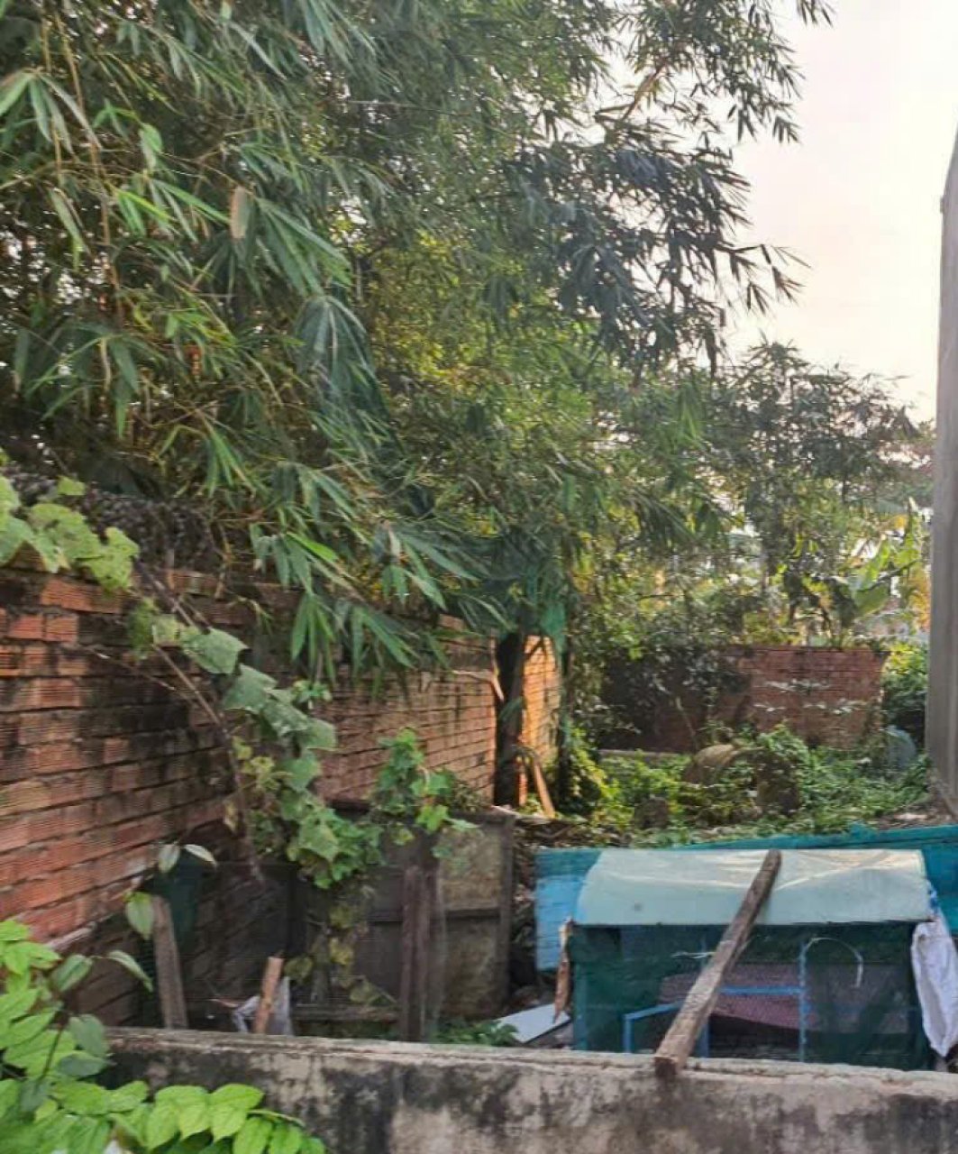 Đất Vuông HXH 57m2 – Tô Ngọc Vân Gò Vấp