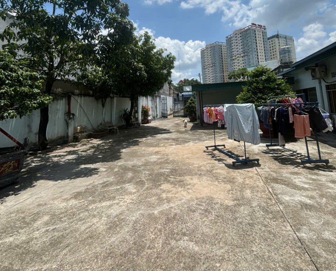 Giảm 2.5tỷ! Đất SHR HXT né 979m2, Nở hậu – Đặng Đức Thuật TP.Biên Hoà SS