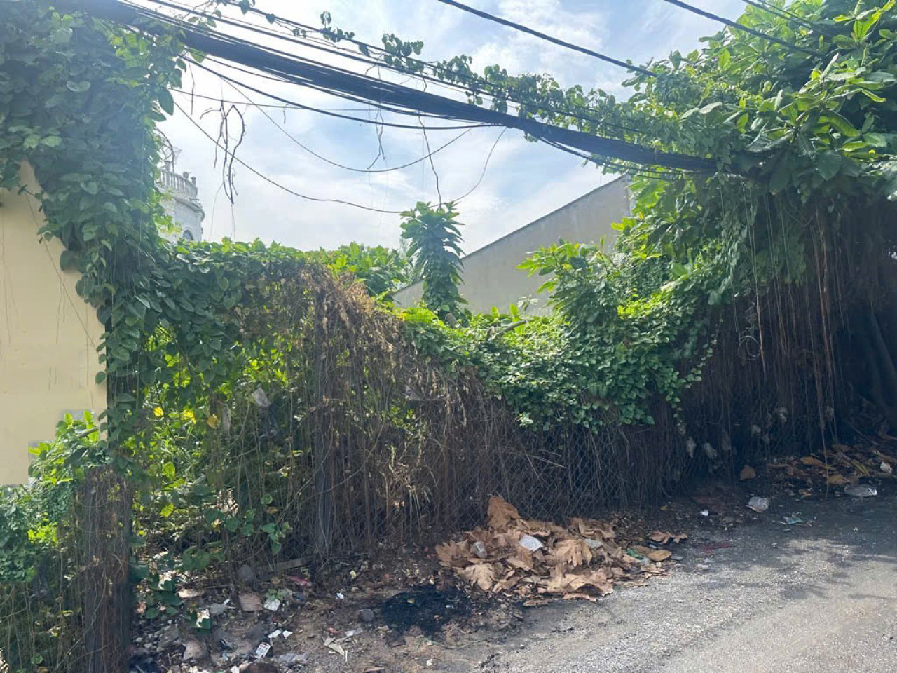 Đất Vuông SHR HXT né 120m2 – Thạnh Lộc 29 Quận 12 SS