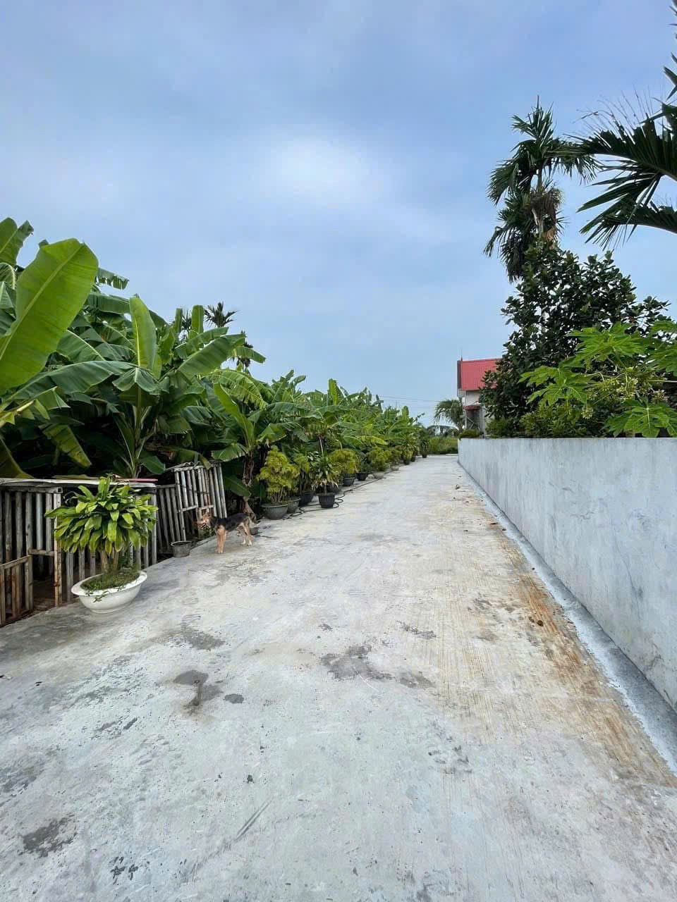 6xx triệu 65m2 Lão Phú Tân Phong Kiến Thụy Zalo 0567222555