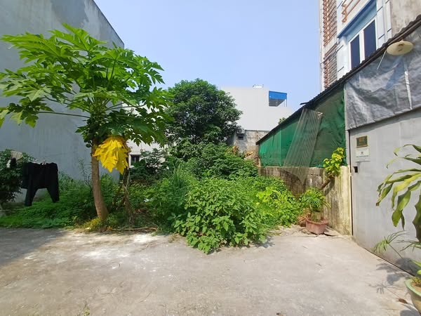 CHÍNH CHỦ BÁN LÔ ĐẤT 49,9M TẠI BIÊN GIANG-HYAF ĐÔNG-HÀ NỘI