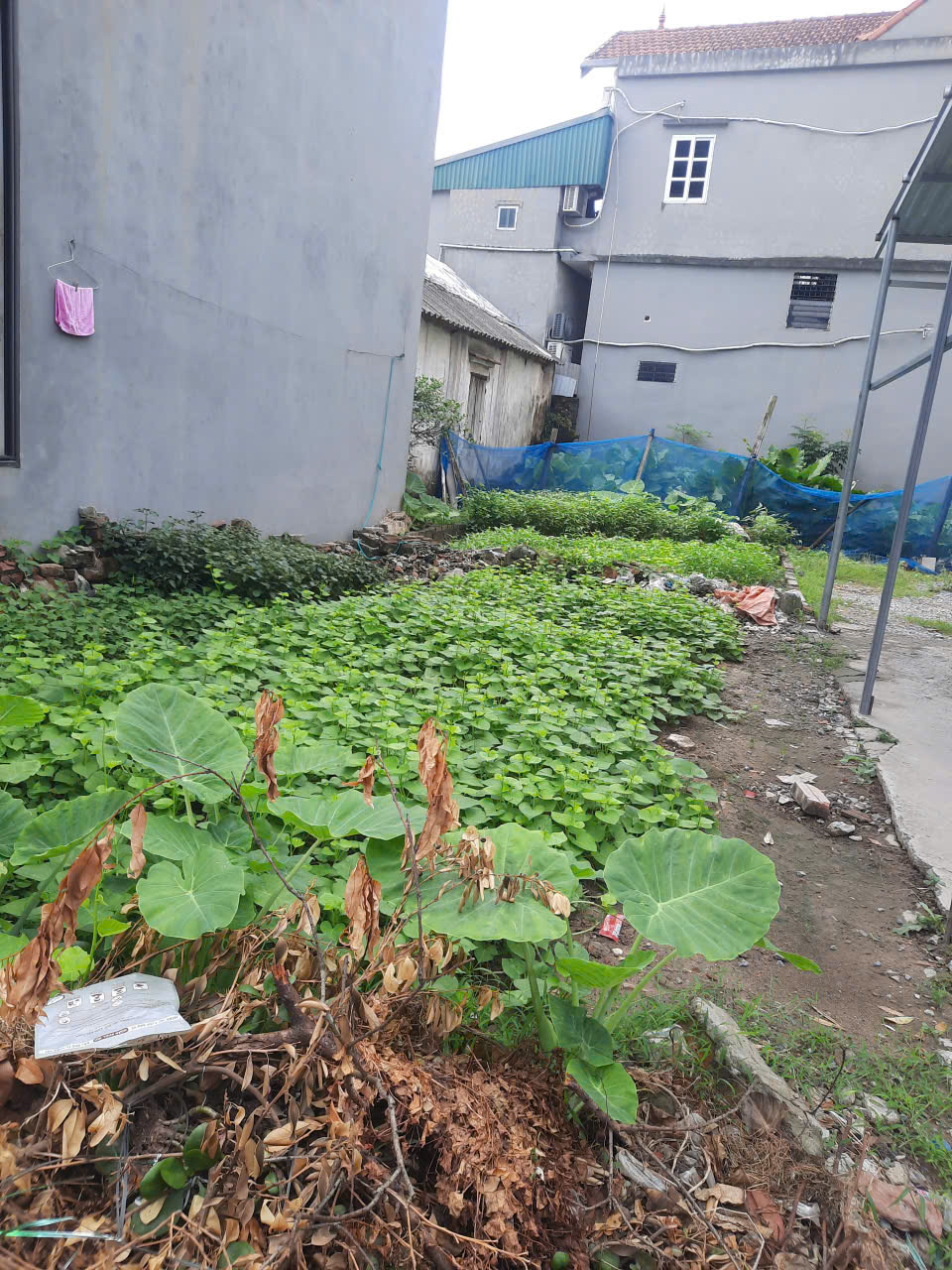 SIÊU HOT - ĐẤT VỊ TRÍ ĐẸP Tại ĐA TỐN - GIA LÂM - HÀ NỘI