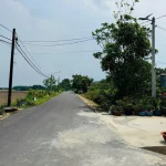  270m2 - 4