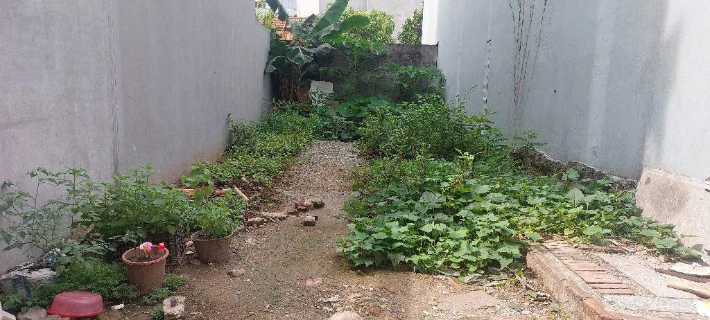 THỬA ĐẤT ĐẸP - AN SINH SƯỚNG ,NGÕ THÔNG-NHỈNH 5 TỶ