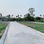  64m2 - 4