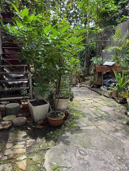 CHỈ 190 TRIỆU M CÓ NGAY MẢNH ĐẤT NGÕ NGỌC HÀ 69.8M, MT 3.68M GIÁ 13.3 TỶ 0336212066