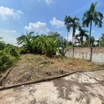  50m2 - 5