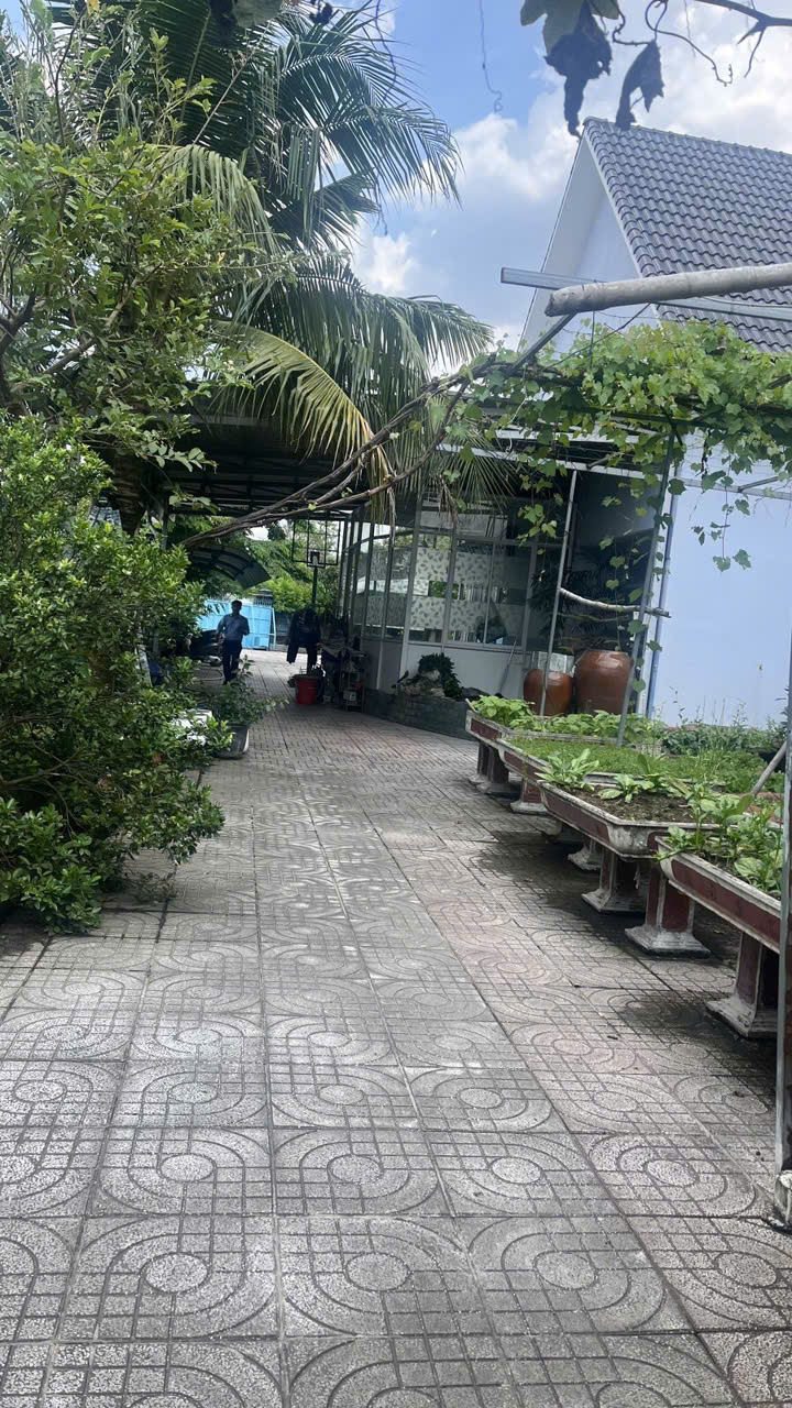 BIỆT THỰ MÁI THÁI SÂN VƯỜN SIÊU ĐẸP – NGÂN HÀNG ĐỊNH GIÁ 14.5 TỶ, BÁN CHỈ 13 TỶ!