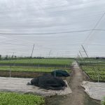  2666m2 - 3
