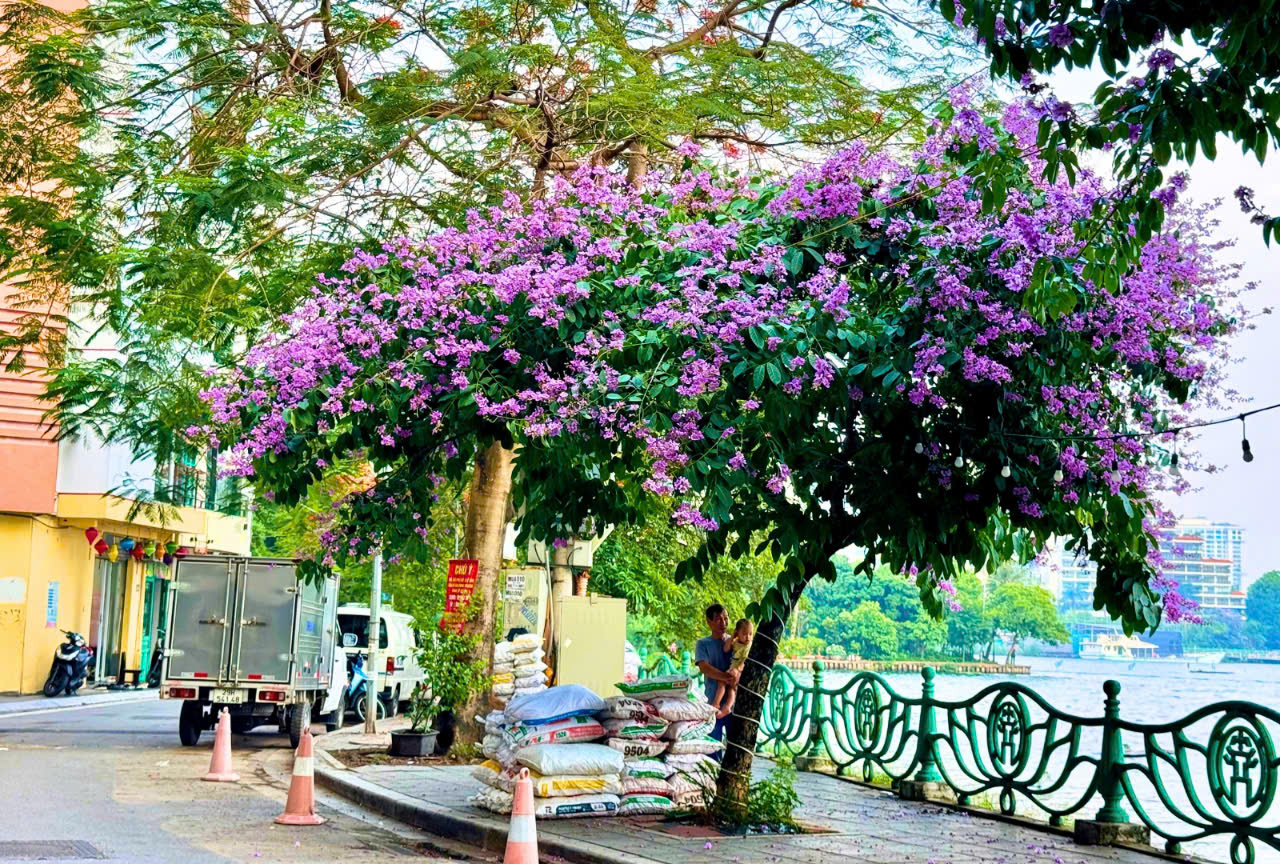 SIÊU HIẾM, MẶT PHỐ NHẬT CHIÊU – VIEW HỒ TÂY – DÒNG TIỀN VÀNG – 2 MẶT THOÁNG