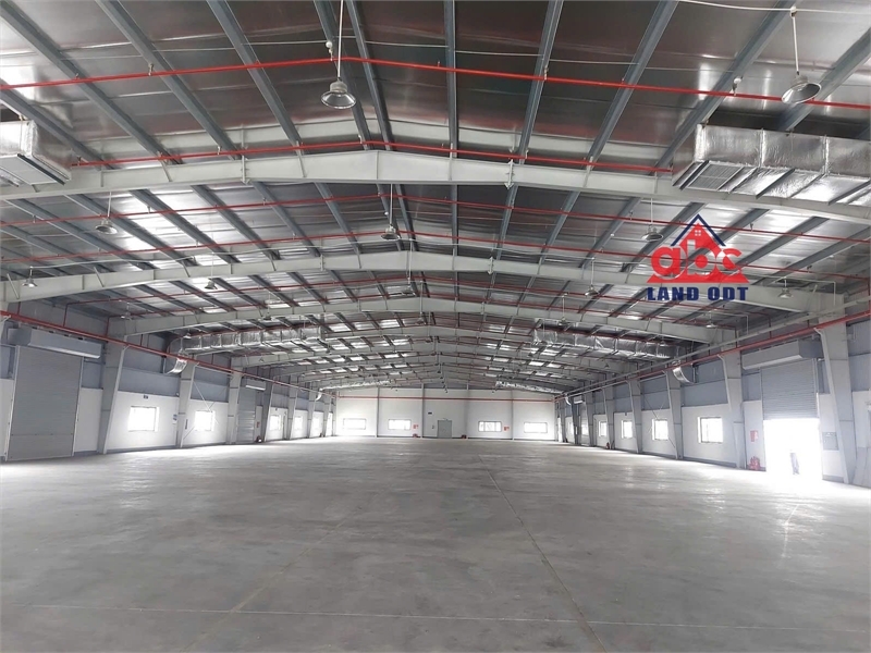 XT351 xưởng sản xuất linh hoạt nhiều ngành nghề, DN FDI, thành lập được DN EPE