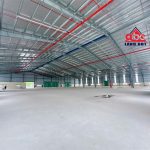  9000m2 - 5