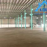  3200m2 - 3