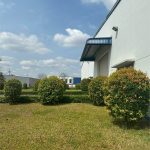  9000m2 - 1