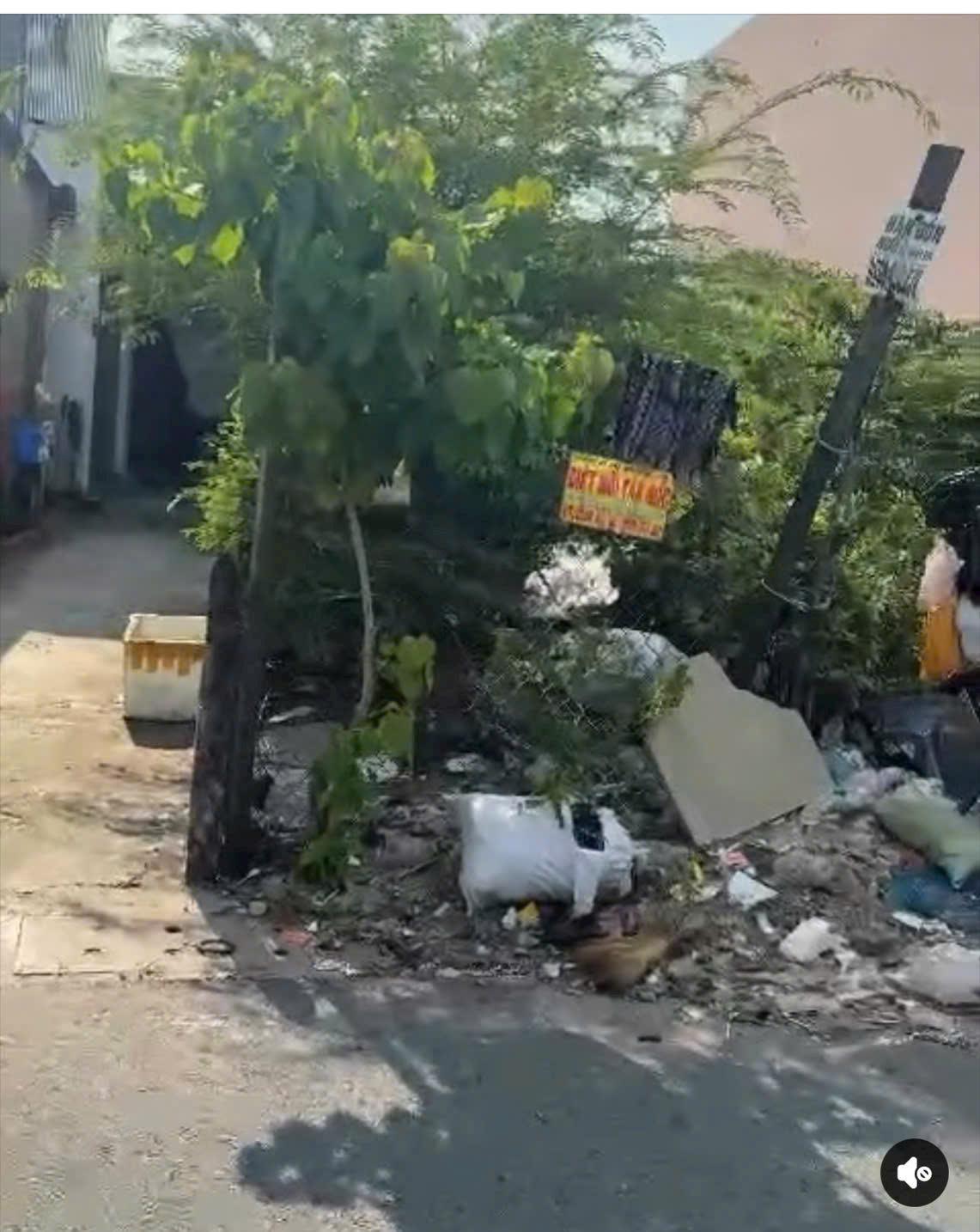 NHÀ ĐẸP + DÃY TRỌ (9.3x40) MT TRUNG MỸ, HÓC MÔN – GIÁ RẺ ĐẦU TƯ