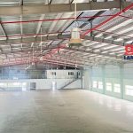  5000m2 - 5