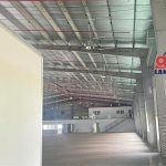  5000m2 - 6