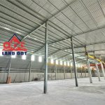  2000m2 - 1