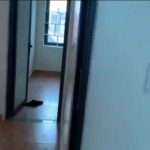  50m2 - 3