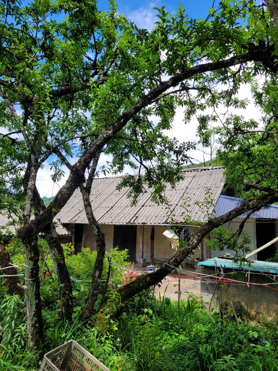 BÁN ĐẤT TẠI PHƯỜNG SA PA - THỊ XÃ SA PA, TỈNH LÀO CAI