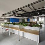  250m2 - 1